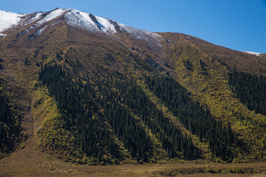 那拉提高山