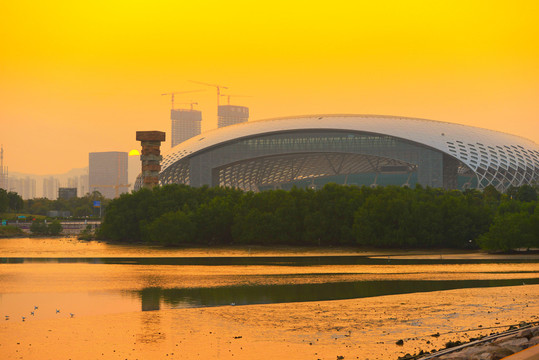 深圳湾建设