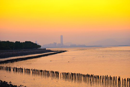 深圳湾日落