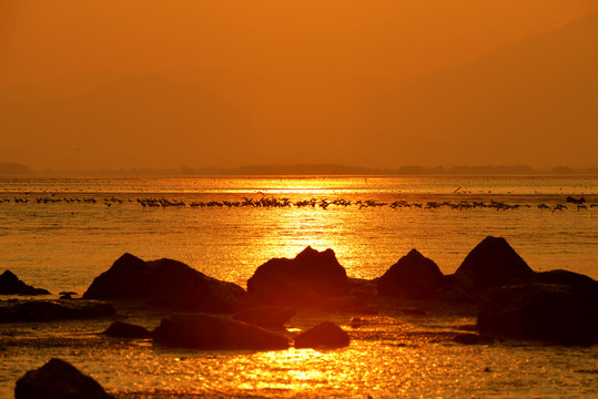 海面的落日