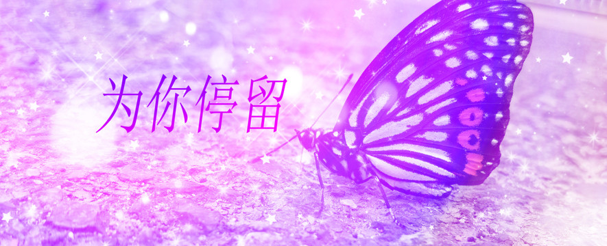 配圖
