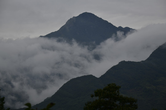 高山云雾