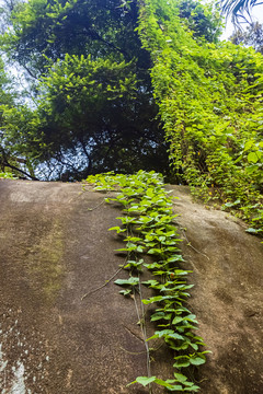 云洞岩