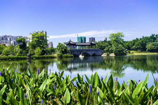 飞来湖湿地公园