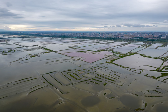 雨后的山西运城盐湖