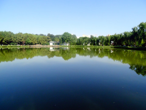 兰州植物园风景