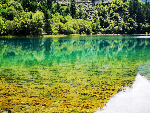 高山湖泊