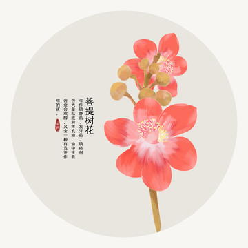 菩提树花