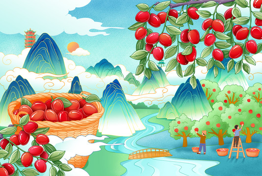 大紅棗插畫