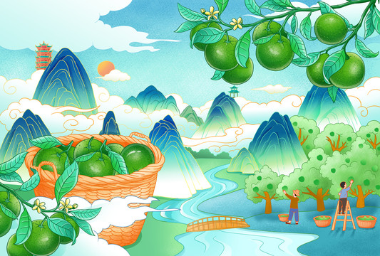 小青柑插畫