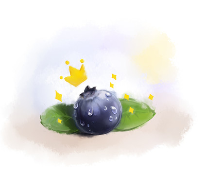 水彩超写实蓝莓插画