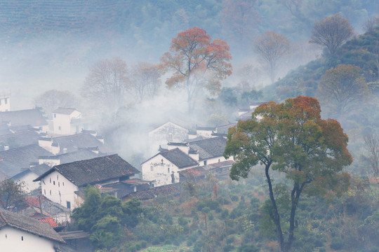 风景画