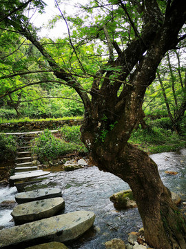 小河石墩