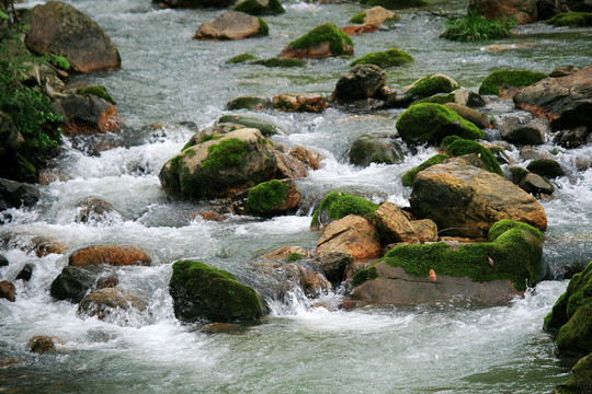 小河流水