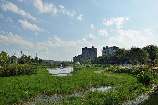 湿地公园