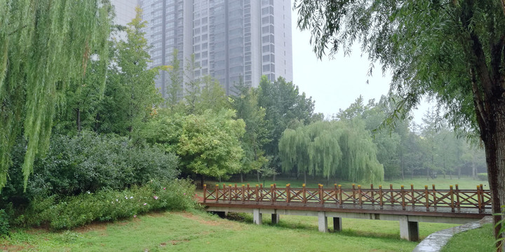 下雨天公园小桥栈道