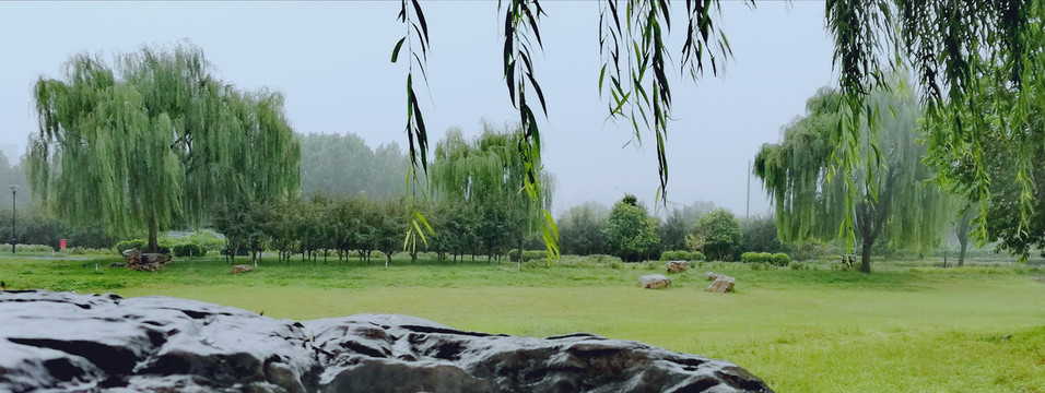 夏季雨中即景