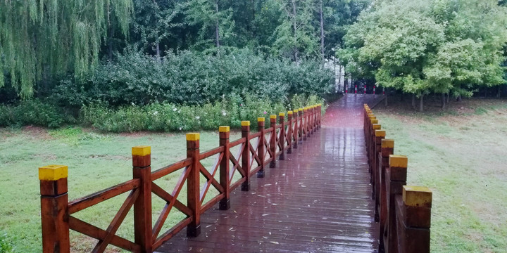 雨中湿地栈道