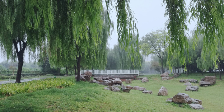 雨中即景