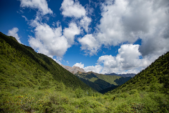 自然风景