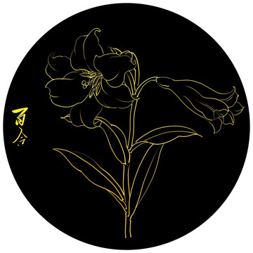 金邊花百合