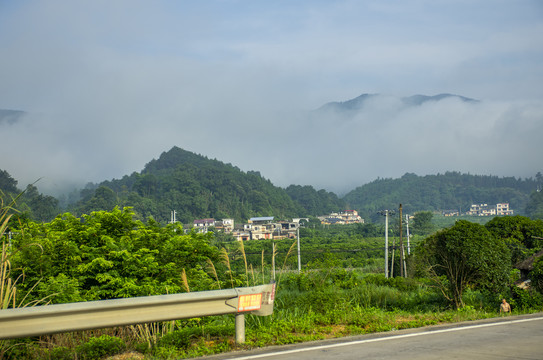 大山云雾