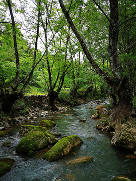 深山小溪