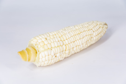 玉米白底素材