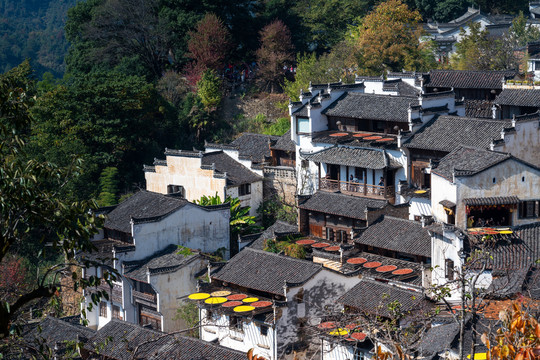 婺源篁岭