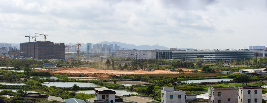 东莞滨海湾新区全景图