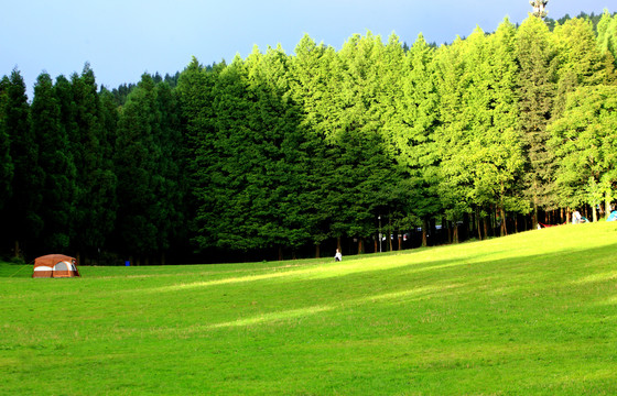 武陵山森林和草原风光