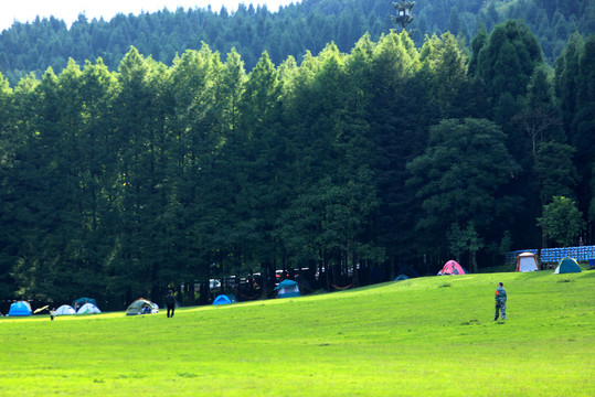 武陵山草原风光