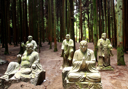 武陵山森林景区