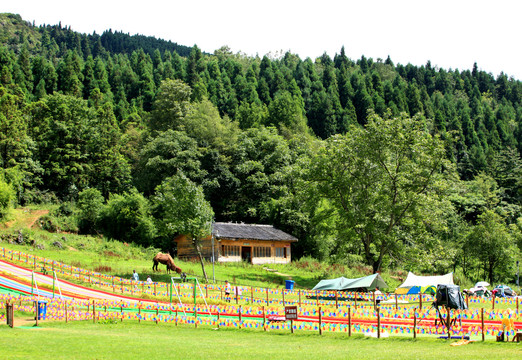 武陵山草原风光