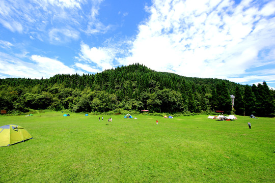 武陵山草原风光