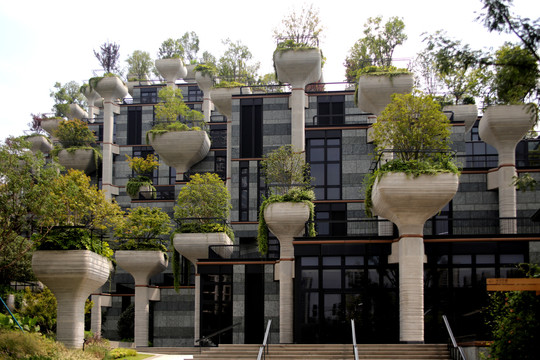 绿化建筑