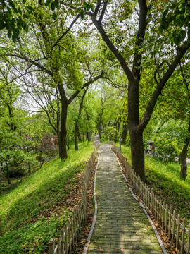 苏州大运河景观带