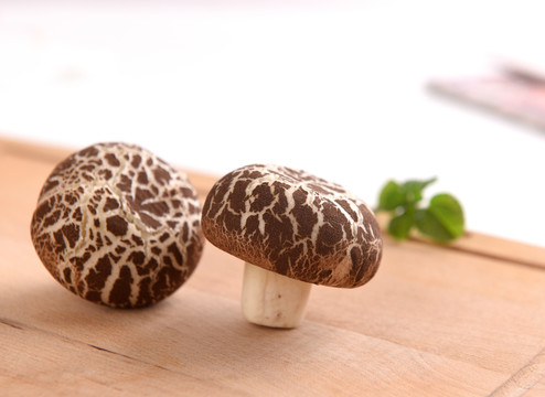 蘑菇造型面点
