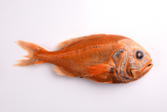 深海红鱼