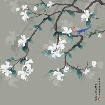 花鳥(niǎo)