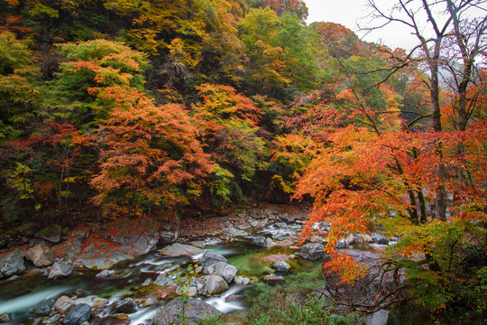 光雾山