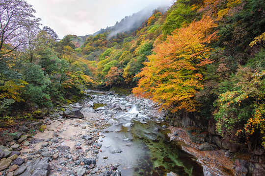 光雾山