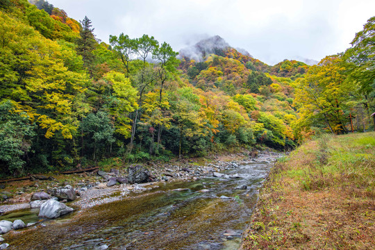 光雾山