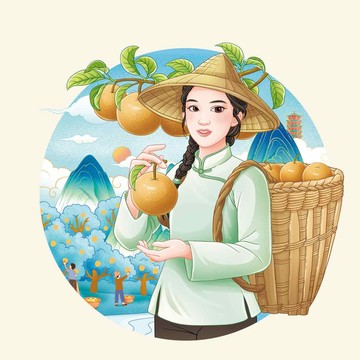 秋月梨包裝插畫(huà)