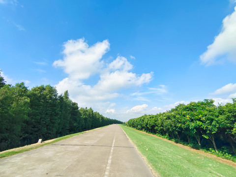 蓝天白云绿树林马路草地背景