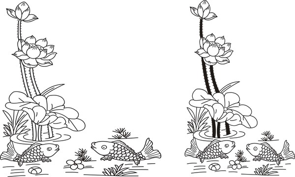 荷花魚