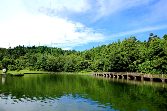 武陵山森林公园