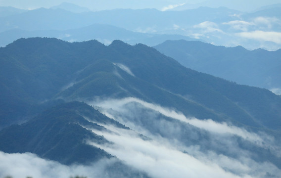 崇义上堡万长山茶园云海