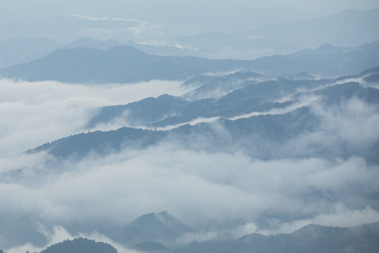 崇义上堡万长山茶园云海