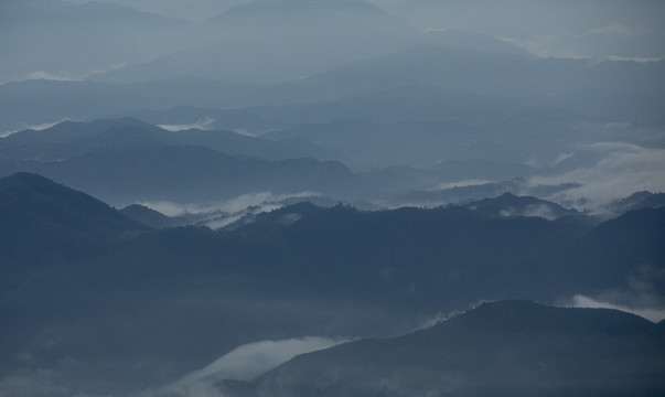 崇义上堡万长山茶园云海